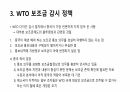 중국 보조금 정책과 대중국 상계관세 조치 11페이지