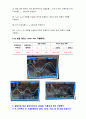 기초전자실험 with PSpice RLC 회로와 공진 레포트 7페이지