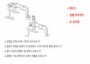 생체실기(보디빌딩) 6페이지