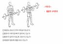 생체실기(보디빌딩) 10페이지