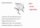 생체실기(보디빌딩) 12페이지