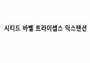 생체실기(보디빌딩) 23페이지