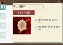 운동 자연살 세포 (발표자료) 4페이지
