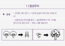 국부의 변천 9페이지