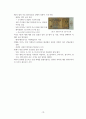 세계 1차 대전에 대한 정리 10페이지