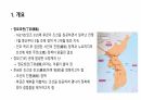 정묘호란에 대해서 2페이지