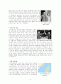 국공내전에 대한 정리 4페이지