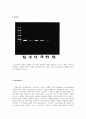 바이러스학 실험 결과보고서 RT-PCR 2페이지