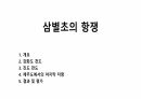 삼별초의 항쟁 1페이지