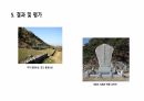 삼별초의 항쟁 8페이지