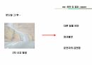 로드킬 발표자료(S급) 5페이지