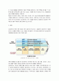 경영전략론 ) 가치사슬 분석을 사용해서 관심 있는 기업의 활동분야를 여러 단계로 나누어 분석하고 가장 뛰어난 경쟁자와 비교해서 경쟁우위와 열위 부문을 서술하시오 3페이지