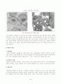 방송대_22학년도2학기)_생물과학(공통) - 세포가 물질을 합성하여 필요한 세포내 소기관이나 세포밖으로 분비하기 위한 시스템이 내막계이다 5페이지