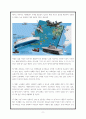 세월호 참사에 대한 윤리적 고찰 A+ (1) 11페이지