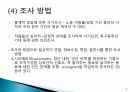 조직 사기와 동기부여 발표자료 A+ 8페이지