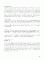 조직론 연구보고서 A+ 44페이지