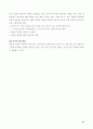 조직론 연구보고서 A+ 47페이지