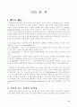 조직론 연구보고서 A+ 51페이지