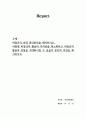비정규직 인력 관리방안을 제시하시오.  어떻게 비정규직 활용의 부작용을 최소화하고 비정규직 활용의 장점을 극대화시킬 수 있을지 본인의 의견을 제시하시오. 1페이지