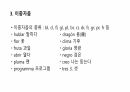 스페인어 모음과 자음에 대해서 11페이지