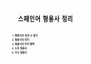 스페인어 형용사 정리 1페이지