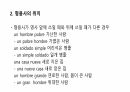 스페인어 형용사 정리 5페이지