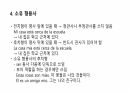 스페인어 형용사 정리 13페이지
