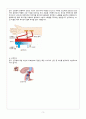 말기 신질환 5페이지
