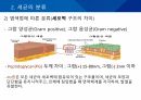 대학병원 출신 간호사가 작성한 (균주별 항생제 사용) 5페이지