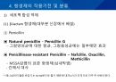 대학병원 출신 간호사가 작성한 (균주별 항생제 사용) 23페이지