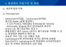 대학병원 출신 간호사가 작성한 (균주별 항생제 사용) 32페이지