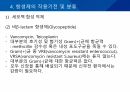 대학병원 출신 간호사가 작성한 (균주별 항생제 사용) 36페이지