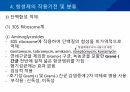 대학병원 출신 간호사가 작성한 (균주별 항생제 사용) 43페이지