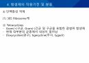 대학병원 출신 간호사가 작성한 (균주별 항생제 사용) 45페이지