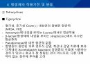 대학병원 출신 간호사가 작성한 (균주별 항생제 사용) 47페이지