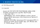 대학병원 출신 간호사가 작성한 (균주별 항생제 사용) 50페이지
