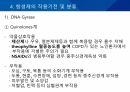 대학병원 출신 간호사가 작성한 (균주별 항생제 사용) 53페이지