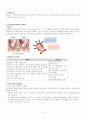 제왕절개술 케이스 C/sec CASE STUDY +유도분만, 임신성 당뇨병 (간호진단 3개, 간호과정 2개) 5페이지