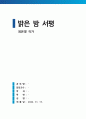 밝은 밤 최은영 서평 독후감(+줄거리 요약) 1페이지