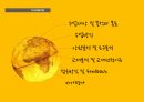 교과교재연구과제 PPT발표(독해 및 문법수업) 2페이지