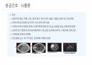 응급 간호 및 CPR 15페이지