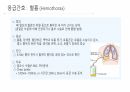 응급 간호 및 CPR 25페이지