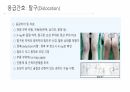 응급 간호 및 CPR 29페이지