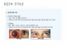 응급 간호 및 CPR 37페이지