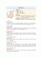 성인간호학 - 소화기계의 진단검사와 임상검사와 관련된 내용 A+!!!!!!!!!!!!!!!!!! 4페이지