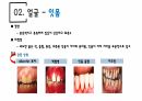 건강사정 - 머리, 얼굴 림프 PPT자료 A+ 11페이지