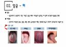 건강사정 - 머리, 얼굴 림프 PPT자료 A+ 12페이지