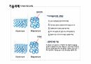 마그네슘 기획서 PPT 26페이지