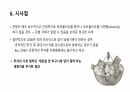 SVB은행 파산과 시사점 7페이지
