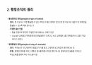 조직이론 5페이지